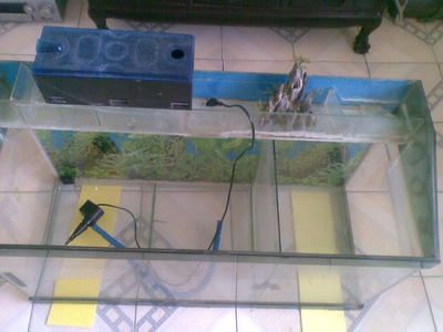 魚缸過濾器的選購指南：寵物魚缸過濾器安裝過濾器安裝過濾器的步驟和注意事項