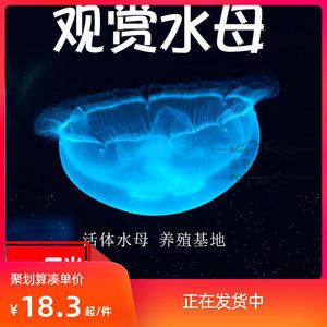 海鹽在魚(yú)缸中的應(yīng)用主要體現(xiàn)在水質(zhì)調(diào)節(jié)和消毒殺菌上的鹽度：如何正確使用海鹽開(kāi)缸？