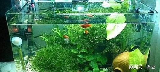 廣州花都魚缸廠家：廣州市東坦魚缸有限公司&nbsp