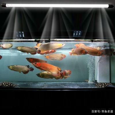 高端魚缸有哪些牌子的：高端魚缸品牌iso9001質量管理體系認證