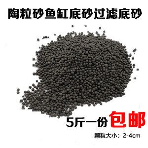 陶粒在魚缸中的應用：自制水族箱過濾系統的構建與維護水族箱生態系統的指南