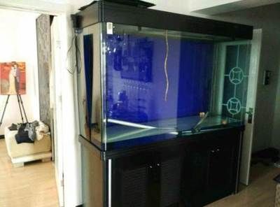 水族箱材質與選擇：中國水族器材品牌排行榜