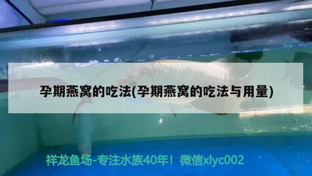 臨清市登瀛小區閑茶牧魚水族店