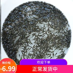 鸚鵡魚和銀龍魚混養怎樣喂食 金龍魚吃泥鰍有什么好處:金龍魚吃泥鰍有什么好處龍魚吃泥鰍有什么好處和壞處 龍魚百科 金龍魚吃泥鰍有什么好處:金龍魚吃泥鰍有什么好處龍魚吃泥鰍有什么好處和壞處 金龍魚吃泥鰍有什么好處:金龍魚吃泥鰍有什么好處龍魚吃泥鰍有什么好處和壞處 龍魚百科