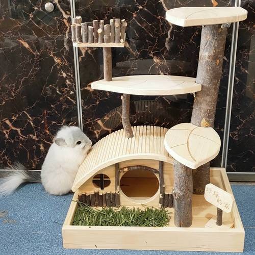 龍貓有哪些玩具可以玩？