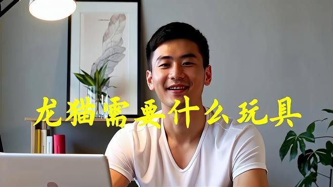 龍貓有哪些玩具可以玩？