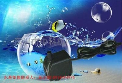 廣州魚缸定做的設計流程：如何選擇魚缸定做廠家