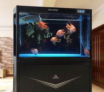 廣州魚缸定做的設計流程：如何選擇魚缸定做廠家