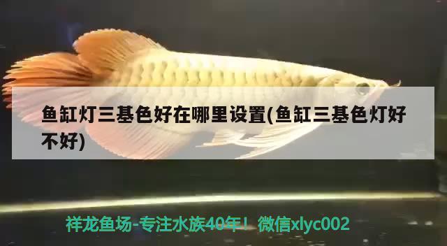 廣州市番禺區(qū)橋南街順威水族器材店