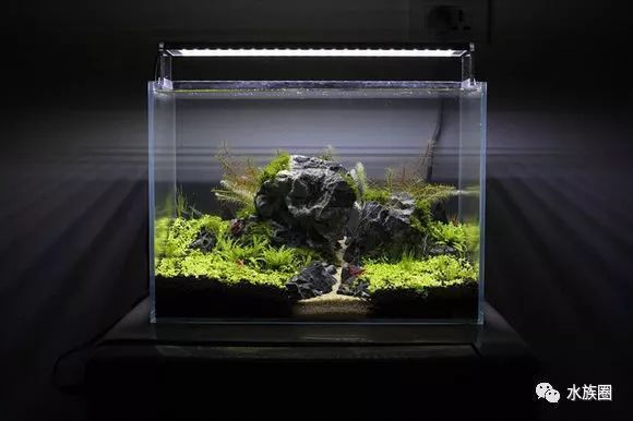 廈門市湖里區林惠玉水族館（廈門市湖里區林惠玉水族館地址）