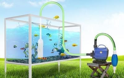 魚缸的消毒清洗方法：魚缸消毒清洗方法