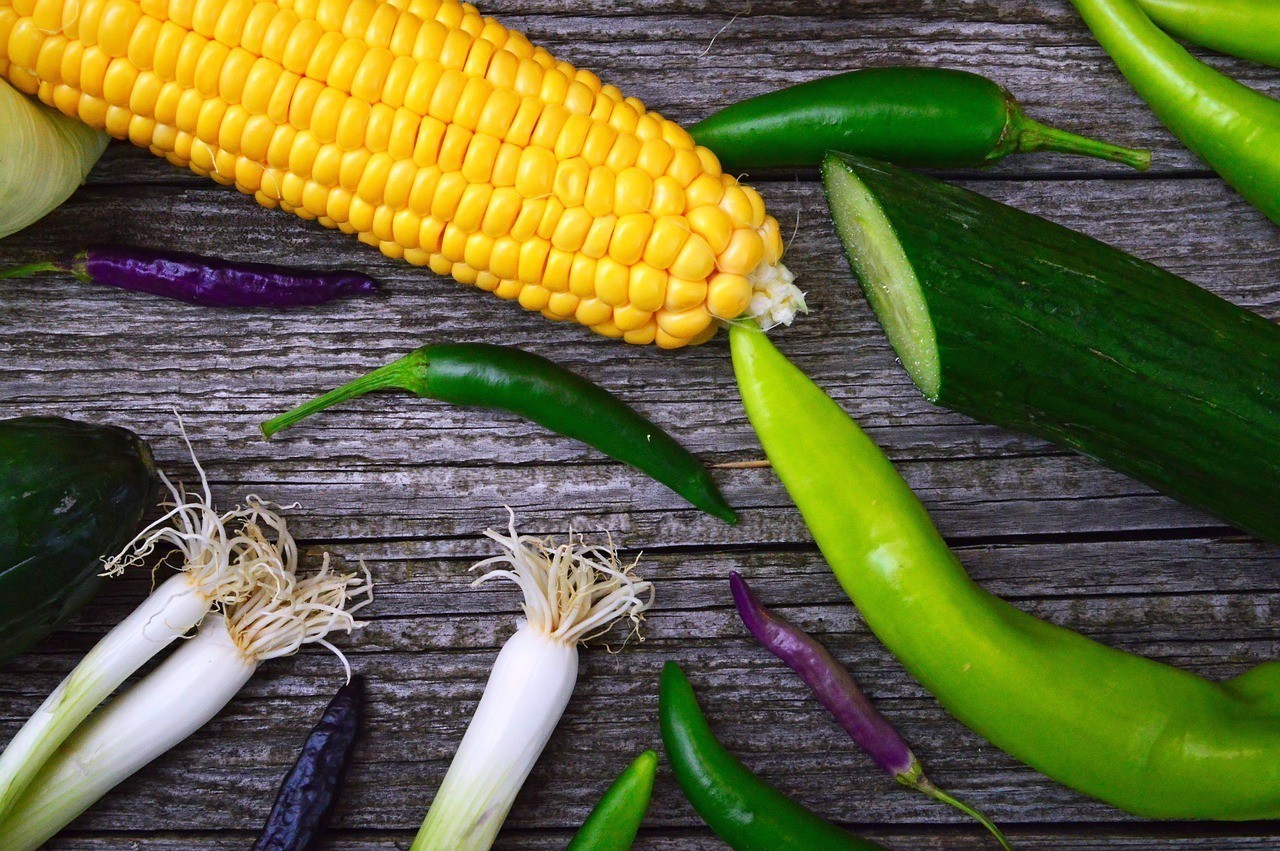 北京碩榮立觀賞魚店（北京榮碩農業發展有限公司）