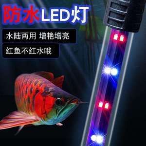 紅色魚缸燈多少錢一套（紅色魚缸燈價(jià)格）