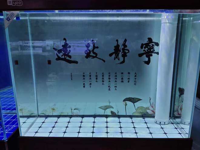 底濾魚缸水變渾濁的處理方法是由于多種原因引起的：如何處理底濾魚缸水變渾濁的問題