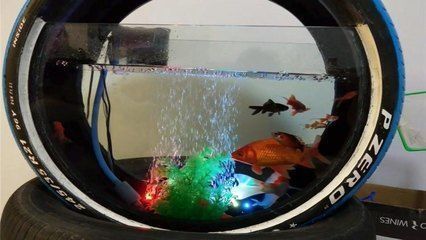 如何設置魚缸內的隱藏處：如何在魚缸內部設置一個隱蔽的地方