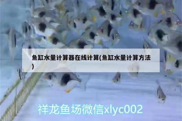 金龍魚魚缸要求多少升水 魚缸百科 第5張 金龍魚魚缸要求多少升水 金龍魚魚缸要求多少升水 魚缸百科 第5張