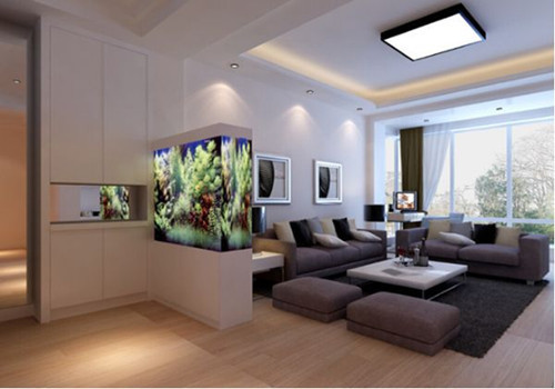 給龍魚起什么名字好聽女生可愛