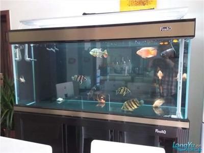 如何調節刀魚缸內pH值：如何調節刀魚缸ph值