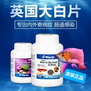龍魚要驅(qū)蟲嗎：龍魚要驅(qū)蟲嗎， 龍魚要驅(qū)蟲嗎：龍魚要驅(qū)蟲嗎， 龍魚百科 第2張