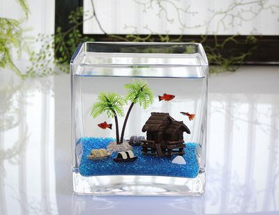 辦公室魚缸放在哪里最旺財，辦公室魚缸養什么魚最旺財