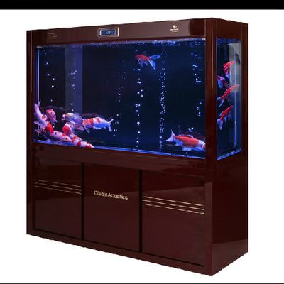 可麗愛魚缸咋樣（可麗愛魚缸外觀設計由業界精英與國外設計團隊共同研發）