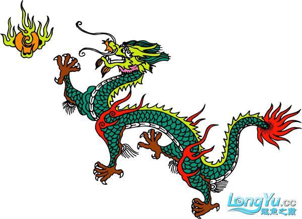 桂林龍魚來源于那里