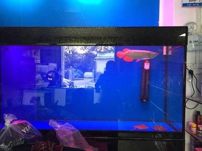 廣州冬季養魚的技巧與誤區：冬季養魚的技巧與誤區
