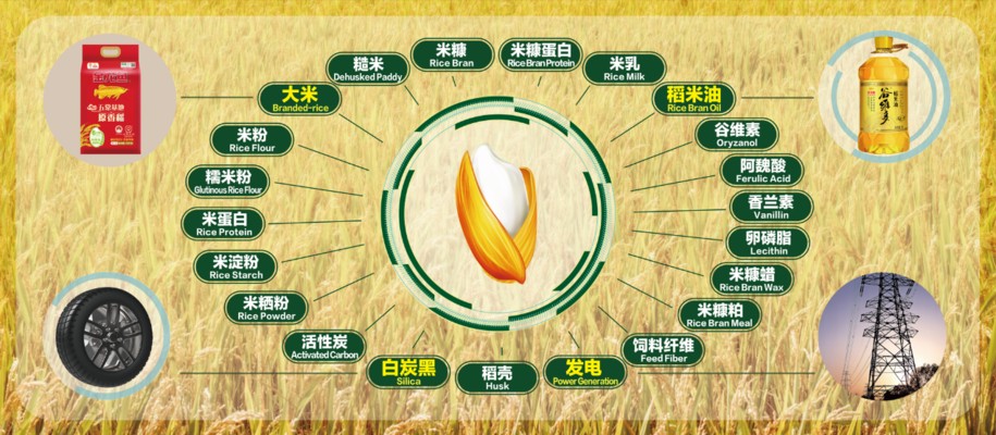 和龍魚混養(yǎng)的下層魚有哪些（與龍魚混養(yǎng)的下層魚有哪些？）