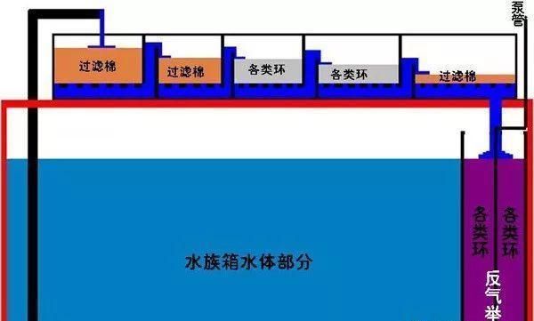 魚缸濾材怎么擺放教學(xué)視頻：魚缸濾材怎么擺放教學(xué)視頻詳情