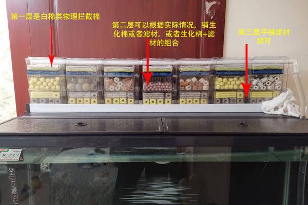 魚缸濾材怎么擺放教學(xué)視頻：魚缸濾材怎么擺放教學(xué)視頻詳情