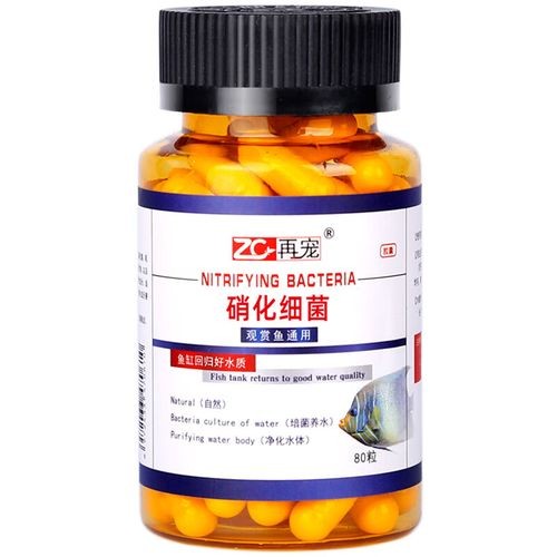 龍魚缸制作圖解