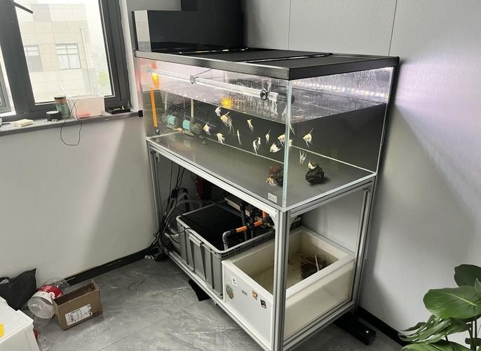 龍魚缸制作圖解