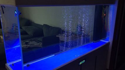 魚缸gh怎么降低：如何降低魚缸gh值