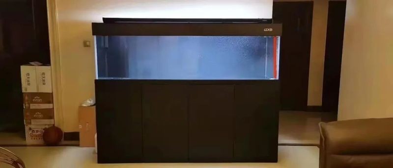 龍魚魚缸水位多少合適養魚