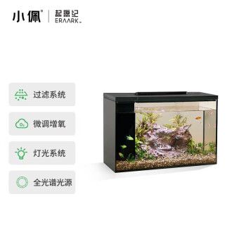 小佩 魚缸：小佩魚缸如何維護