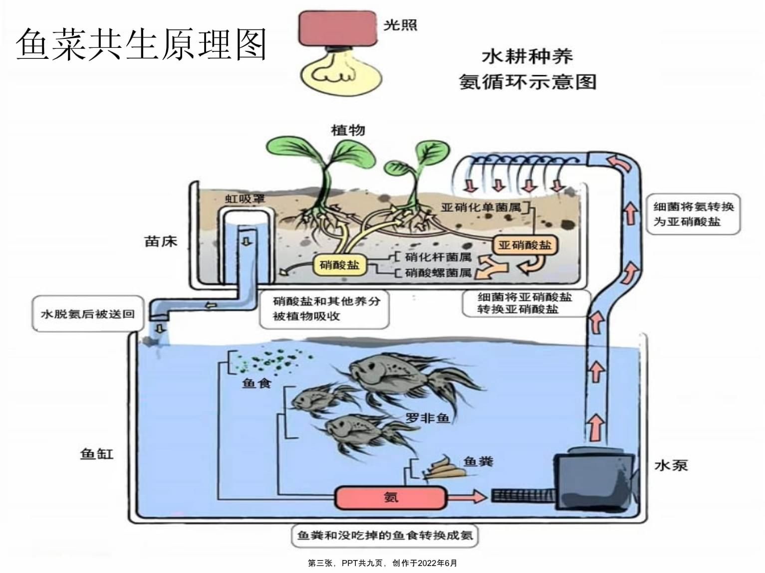 魚缸虹吸原理圖視頻教程：魚缸虹吸原理圖教程詳情 魚缸虹吸原理圖視頻教程：魚缸虹吸原理圖教程詳情 魚缸百科 第4張