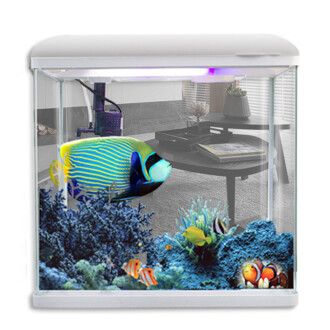 觀賞魚缸過濾器怎么用（如何選擇魚缸過濾器？）