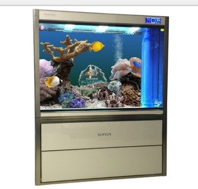 龍魚缸最好幾天換一次水，龍魚缸換水的最佳頻率取決于多種因素