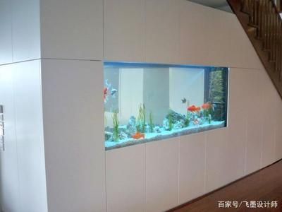 柜子魚缸一體（嵌入式魚缸的設計技巧）