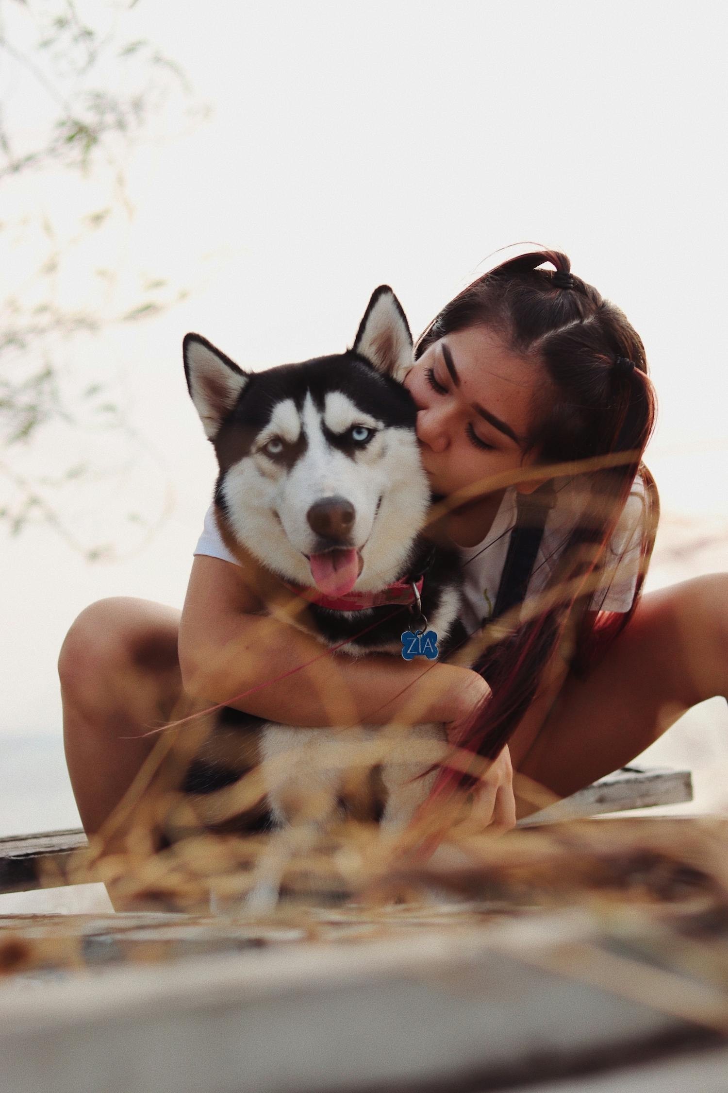 如何與龍貓建立情感聯(lián)系？ 如何與龍貓建立情感聯(lián)系？ 龍魚(yú)百科 第2張