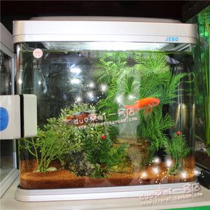 佳寶jebo魚缸官網(wǎng)：佳寶jebo魚缸價(jià)格對比jebo魚缸價(jià)格對比