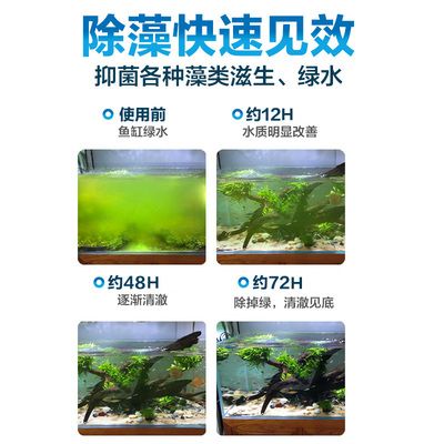 魚缸除藻劑對(duì)魚有害嗎：魚缸除藻劑使用方法