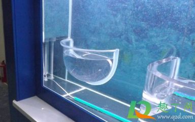 魚缸過濾效果好的魚缸過濾適合自己的魚缸過濾效果好：魚缸過濾器的優(yōu)缺點(diǎn)