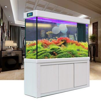 定制魚缸品牌：定制魚缸品牌的發展動態和優勢