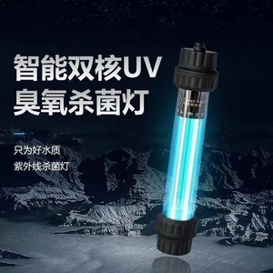 紅龍魚拍賣價格記錄怎么查看的啊（紅龍魚拍賣價格記錄怎么查看的啊視頻）