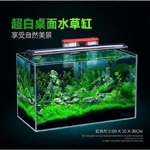 魚缸清潔技巧大揭秘魚缸清潔技巧大揭秘魚缸清潔技巧大揭秘：魚缸換水后出現菌絲怎么辦