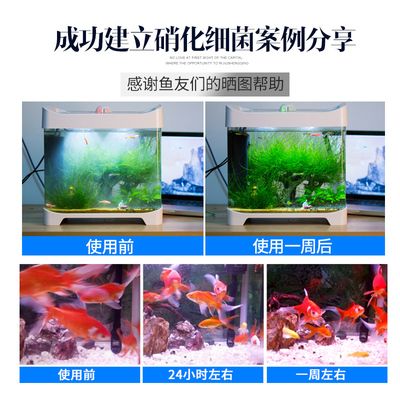 魚缸里海豚咬魚怎么辦：海豚咬魚怎么辦