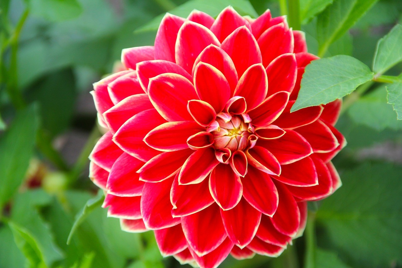 興隆縣花花草草花坊（興隆縣花花草草花坊地址）