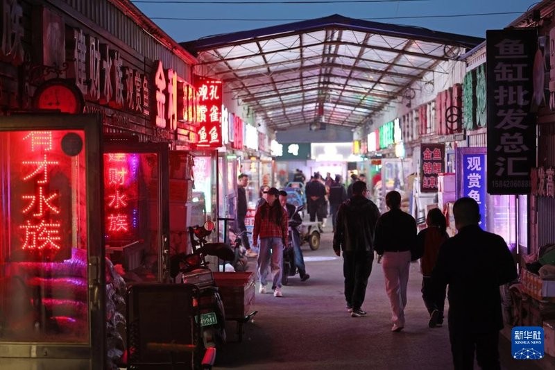 鞍山龍魚批發(fā)市場在哪兒啊