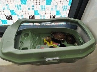易萌魚缸：易萌魚缸以其多樣化產品線和良好用戶口碑成熱門選擇